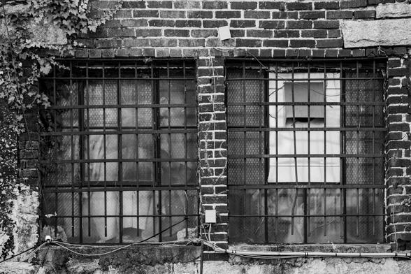 A black and white photo of a pair of windows with a crisscross pattern of bars. The bars looked to be made of steel rebar or similar. The windows are set into a red brick wall with vegetation climbing the wall to the left.