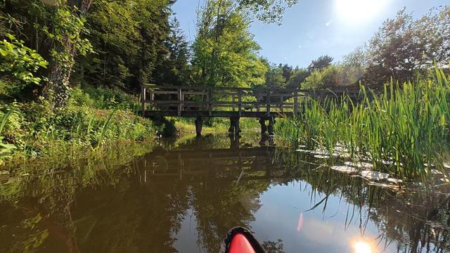 Scene taken from a narrow, dark brown, calm, glossy, reflecting water surface. Green vegetation, grass rising from the surface, is abundant on both sides and also ahead, behind a small dark wooden bridge, spanning from one to the other side. The sky is blue, the sun is a bit low and shines from the right, glimmering on the dark brown water surface.
