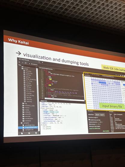 Kaitai web IDE