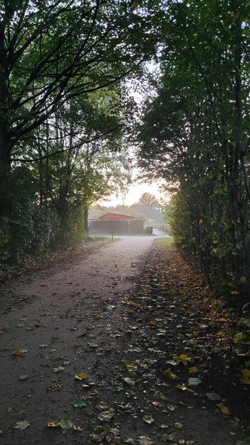 Hochkant in Farbe. Blick einen sandigen Weg entlang. Der Weg führt unter Bäumen und Büschen entlang, die belaubt sind. Es ist dort etwas dunkel. Geradeaus hinter den Bäumen beginnt der Schrebergarten, dort ist es leicht diesig.