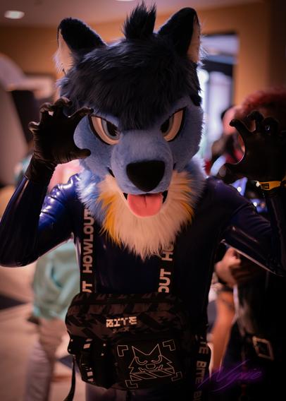 a blue, yellow and white coyote fursuiter in a blue rubber suit with a black furry techwear themed front bag making claw poses at the camera while in line.