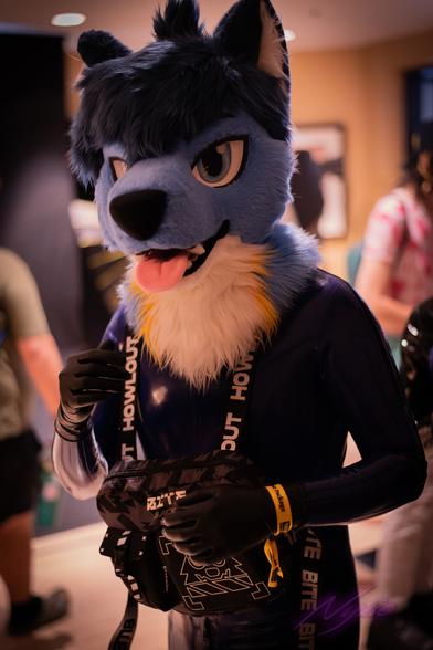 a blue, yellow and white coyote fursuiter in a blue rubber suit with a black furry techwear themed front bag mid-pose facing a 45 degree angle towards the camera in a line.