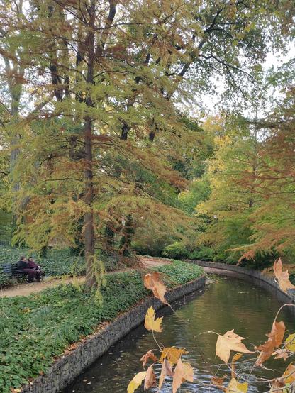 Un étroit sentier longe un canal qui serpente dans le parc. Les arbres ont leur feuillage d'automne.