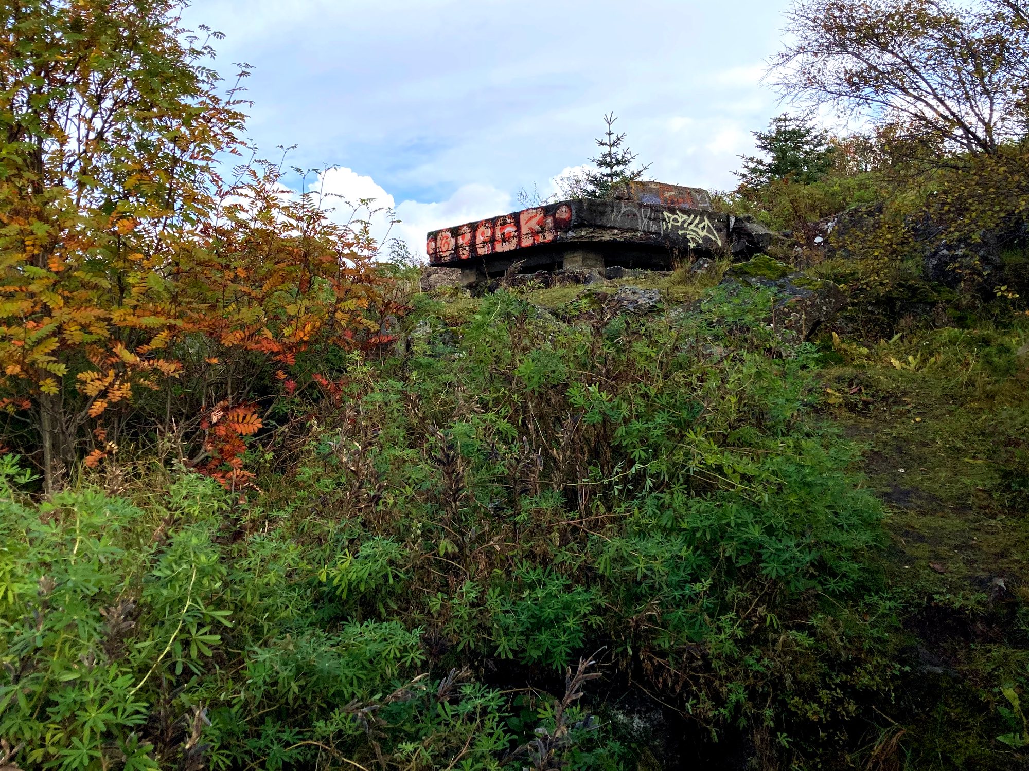 A war relic from World War II.