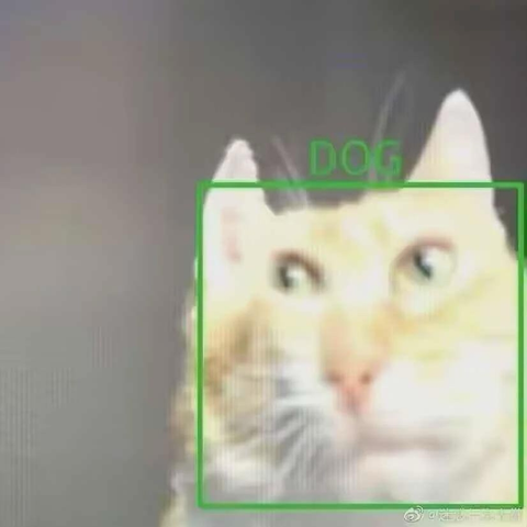 a cat being recognized as a dog by what seems to be a machine learning identification program
