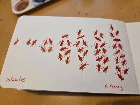 Hand drawn generative/procedural art in ink on an open page of my sketchbook. The abstract pattern looks like clusters of ants in increasing larger clusters.
