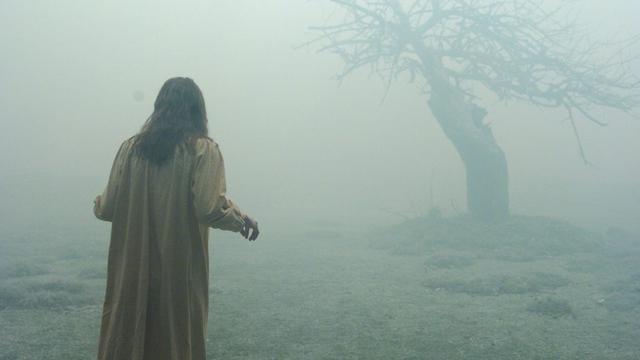 "Der Exorzismus von Emily Rose": Die Studentin Emily Rose (Jennifer Carpenter) steht in einem Gewand draußen vor einem Baum. Es ist stark nebelig. Bild: © ZDF/Piyah Pera
