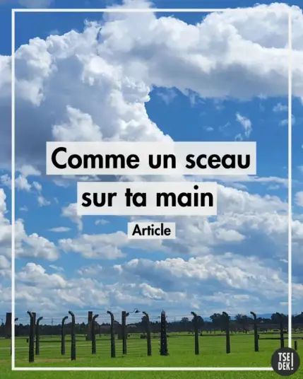 Titre de l’article : Comme un sceau sur ta main
Image d’illustration : des poteaux en bétons portant des barbelés sur une pelouse verte et sous un ciel bleu avec des nuages blancs très contrastés.
Logo Tsedek!