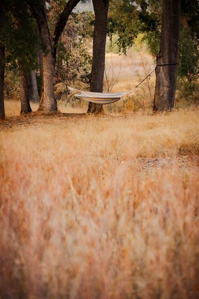 A hammock hangs between a few trees with yellow or golden grass all around it