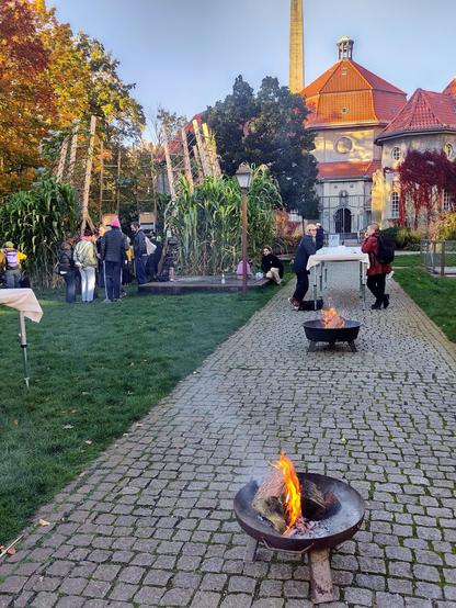 A image taken from the perspective of a small contained fire, of the Milpa growing on The Vegetable Parliament, people lined up, and others chat at a standing table, in the late afternoon sun on a stone walkway towards the Old Silent Green building.