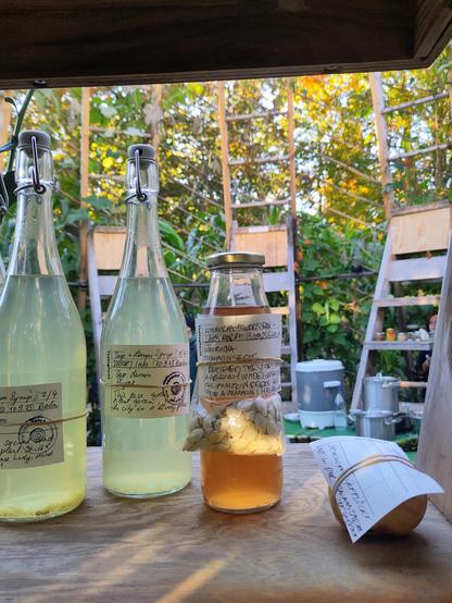 Homemade lemonade, kombucha, fruit and seeds stand as offerings on the Parliament to the Milpa and grand banquet.