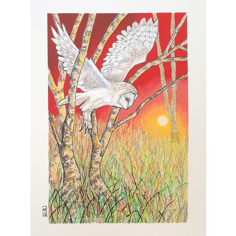 A small colour drawing of a barn owl at sunset, flying through trees, the drawing depicts the owl, grassland and trees with a red sunset sky. The drawing is on white pastel paper.
Barn Owls have some extraordinary adaptations to help them hunt at night, such as silent flight, sensitive hearing and the ability to spot movement in very low light.
An original art work, please note that the frame is not included.
Colour pencil and mixed media on acid free toned artist paper
5 by 7 inches (12.7 by 17.8 cm).