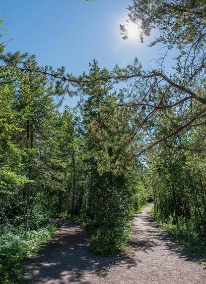A fork appears in a hiking trail in Ouimet Canyon Provincial Park north of Lake Superior in Ontario.