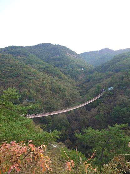 The suspension bridge.