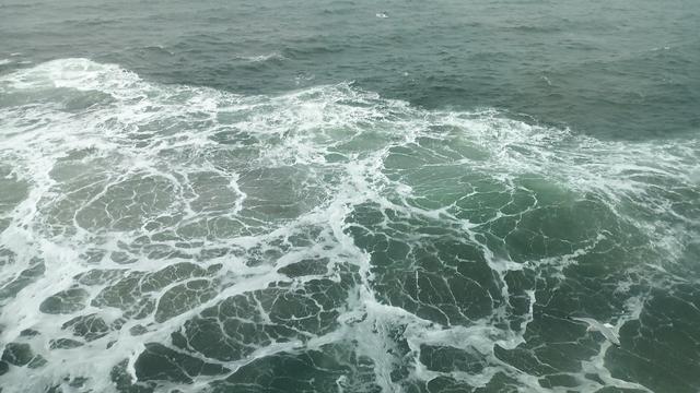 Wellen der aufgewühlten Ostsee. Eine Möwe ist rechts, man sieht sie von oben über das Wasser fliegend. Sie hat eine graue Oberseite. Schwarze Flügelspitzen und einen weißen Kopf und einen weißen Schwanz. Eine andere Möwe ist in der Bildmitte hinten.