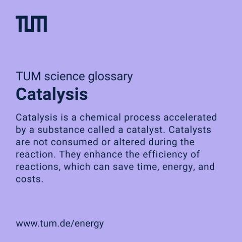 Graphic from the Technical University of Munich (TUM) titled 'TUM science glossary – Catalysis.' The text explains that catalysis is a chemical process accelerated by a catalyst, which is not consumed or altered during the reaction and helps save time, energy, and costs. The image has a purple background with the TUM logo and the website www.tum.de/energy
