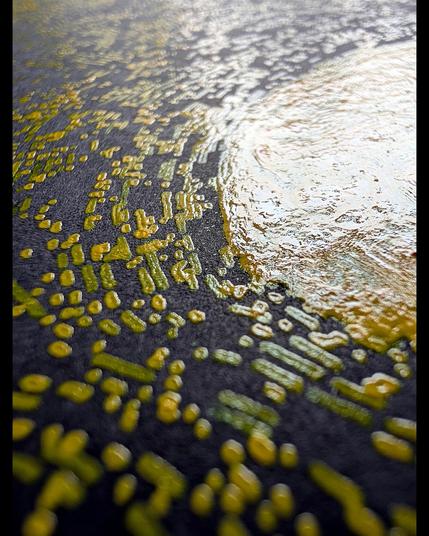 A luminous yellow sun radiates behind the iconic silhouette of the Statue of Liberty, plotted with yellow ink on black paper. The composition is built from flowing lines constructed via vector field mapping; the mechanical precision of the linear structure contrasts beautifully with organic pooling and speckled textures created by the dip pen's rhythmic refilling. Dense yellow ink saturates the sun's core with concentric circular motion, while the darker areas of sky and liberty's form show more scattered, constellation-like dispersal where the pen traveled through emptier regions of the field.