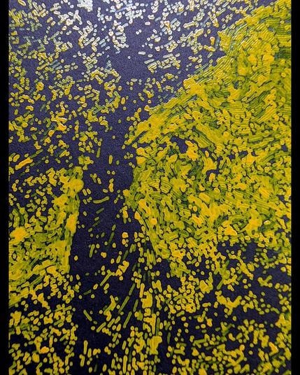 A luminous yellow sun radiates behind the iconic silhouette of the Statue of Liberty, plotted with yellow ink on black paper. The composition is built from flowing lines constructed via vector field mapping; the mechanical precision of the linear structure contrasts beautifully with organic pooling and speckled textures created by the dip pen's rhythmic refilling. Dense yellow ink saturates the sun's core with concentric circular motion, while the darker areas of sky and liberty's form show more scattered, constellation-like dispersal where the pen traveled through emptier regions of the field.