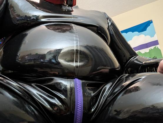 photo from underneath with an upshot at the crotch and belly, belly button dimple being quite visible. also can read my collar tag which has my yotie name!