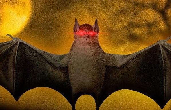 A bat with outstretched wings is shown against a golden-yellow background with circular moon-like shapes.