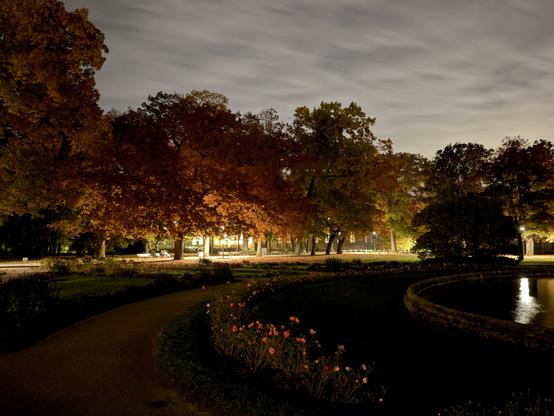 Nighttime shot of the of the park of Schloss Erlangen
