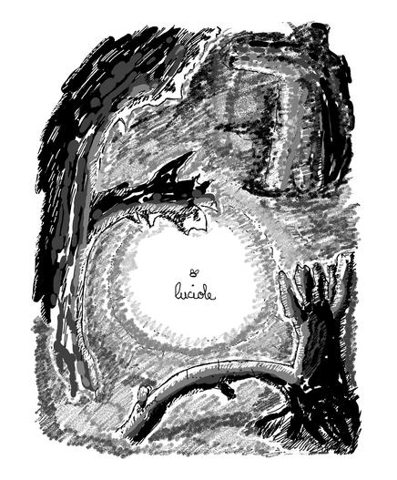 Une luciole éclairant une forêt sombre.