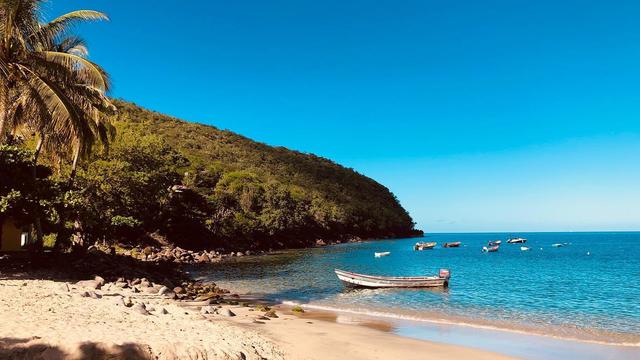 A view to the Ocean from the beach. The sand is bright. A palm tree can be seen on the left. In the left background, the land covered with plants drops into the ocean. Sky is bright blue. Water is calm. A few small boats have dropped anchor in the bay.