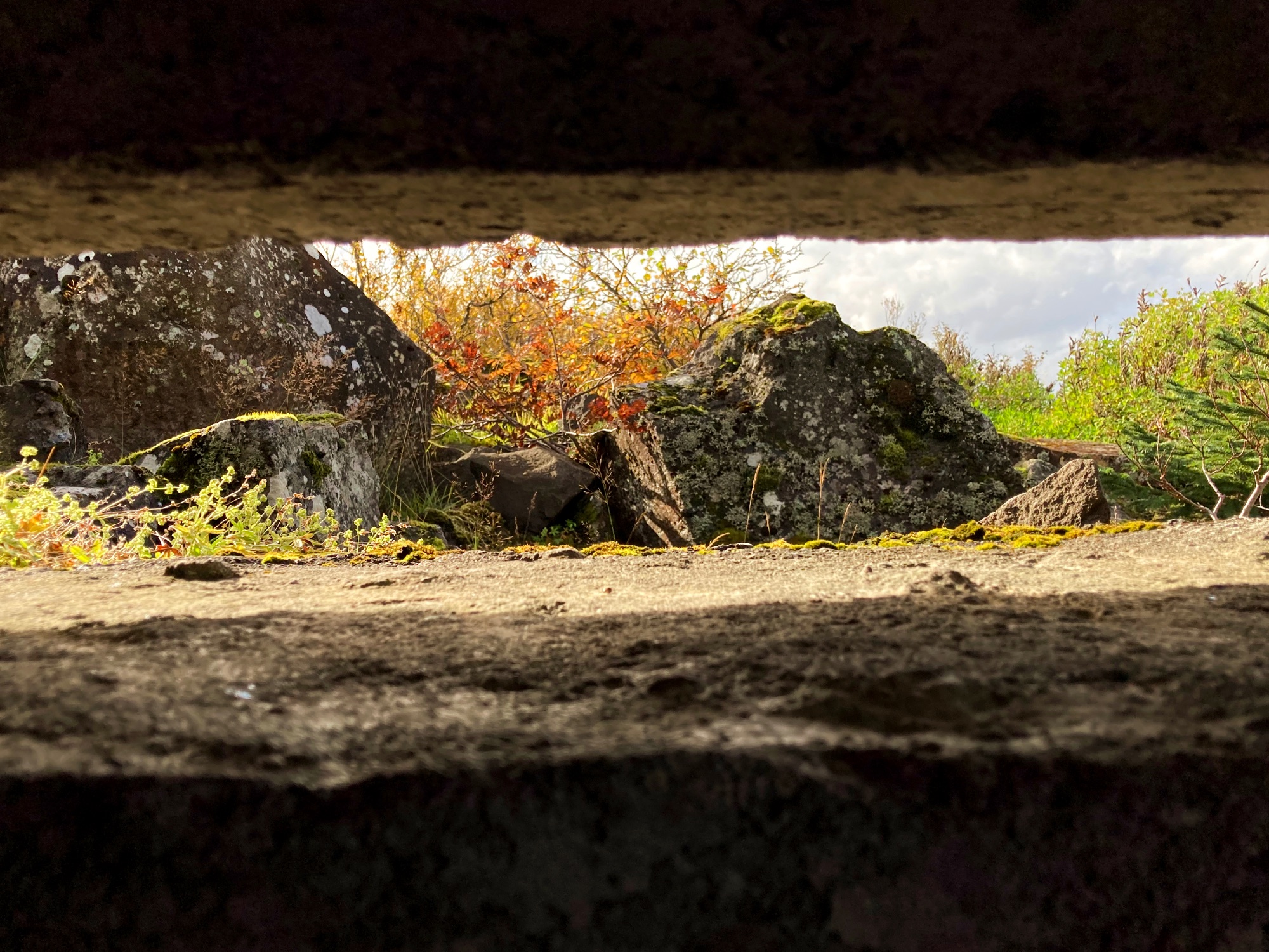 The view from World War II relic.