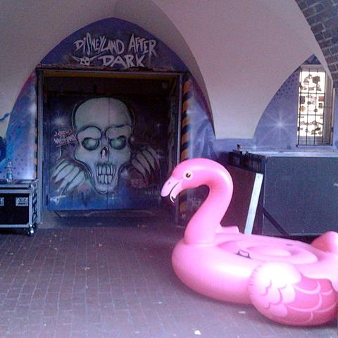 Foto von einem Nebeneingang des Veranstaltungszentrums »Capitol« in Hannover-Linden. Der Nebeneingang ist mit einem Graffito verziert, dass ein gruseliges, schädelartiges weißes Gesicht auf den Betrachter zuspringen lässt, darüber steht »Disneyland after Dark«. Neben dem Eingang eine knallpinke, große Schwimmhilfe in Form eines Flamingos.