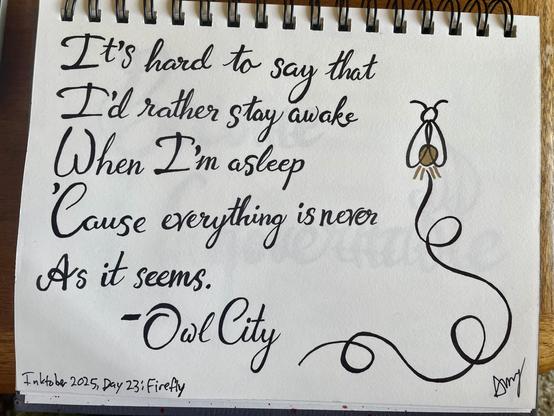 It's hard to say that I'd rather stay awake
When I'm asleep
Cause everything is never
As it seems.
-Owl City

Calligraphy flourish with a firefly.