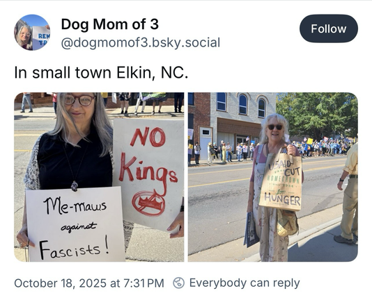 Screenshot of social media post for “No Kings 2.0” from Elkin, North Carolina.
