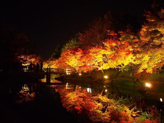 好き＆行ってみたい「三重県の紅葉スポット」ランキング！ 2位「なばなの里」を抑えた1位は？【2025年調査】 - All About ニュース