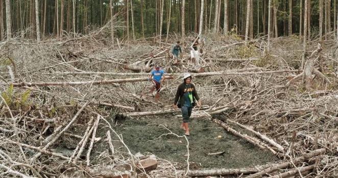 取材の数日前に射殺事件も…ドキュメンタリー映画監督が目撃したフィリピン・パラワン島の「深刻な事態」（FRaU編集部） | FRaU the Earth