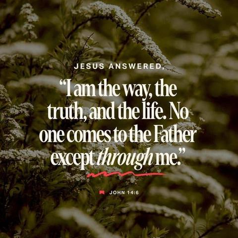 "Jesus answered, “I am the way and the truth and the life. No one comes to the Father except through me." - John 14:6 (NIV)