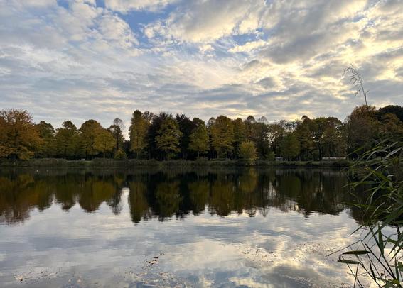 Der Himmel mit Wolken und herbstliche Bäume spiegeln sich in einem See