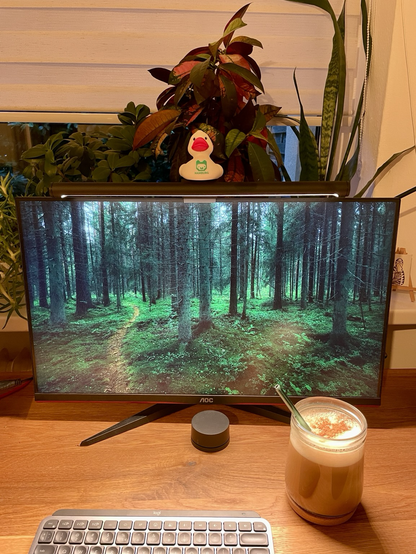 Rubber duck sitting on top of a Computer screen