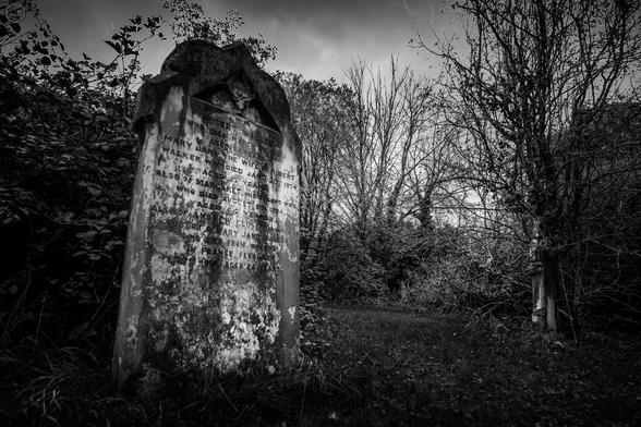 Monochrome shot of vine covered gravestone