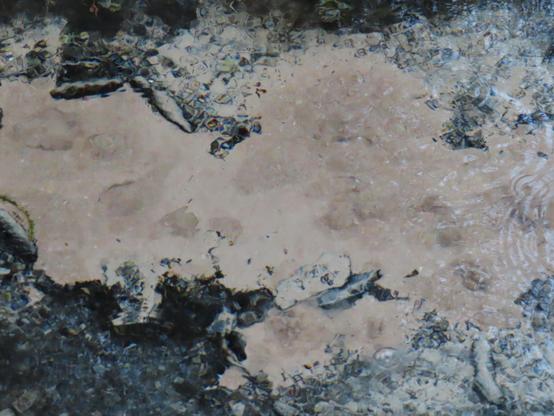 Photo plutôt abstraite mais le lieu était incroyable : en pleine forêt feuillue, un source bouillonnante où une sorte de sable émerge dans le ruisseau à plusieurs endroits. Lieu qui devait comporter une certaine magie car des offrandes étaient posées de ci de  là au bord du ruisseau. (2 posts à suivre > vidéo et offrandes)

A rather abstract photo, but the place was incredible: in the middle of a leafy forest, a bubbling spring where a kind of sand emerges in the stream in several places. It must have been a magical place, because offerings had been placed here and there along the edge of the stream. (2 posts to follow > video and offerings)