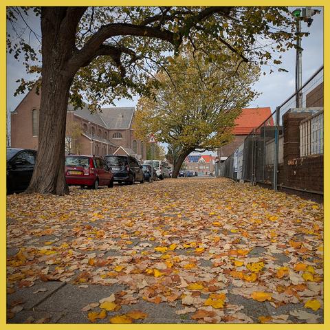 A sidewalk of a street is full of yellow autumn leaves. On the right you see a fence with masonry, on the left a row of parked cars. A church is in the background.