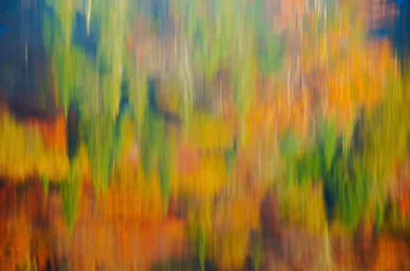 A blurred depiction of vibrant autumn foliage in shades of orange and green.