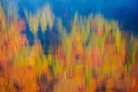 An abstract blur of autumn colors, primarily orange and green, against a blue backdrop.