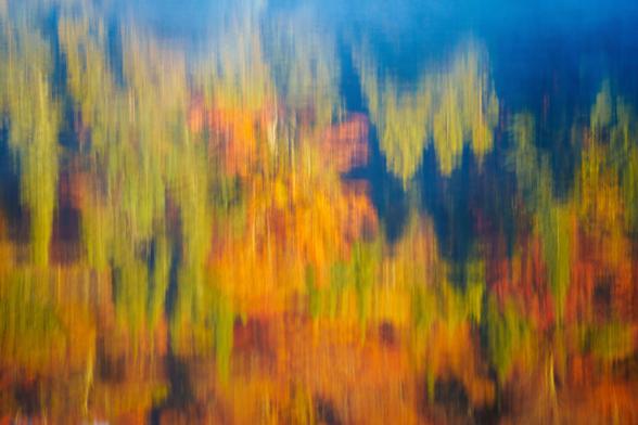 A soft focus of colorful fall foliage, blending orange and green hues with a blue sky.