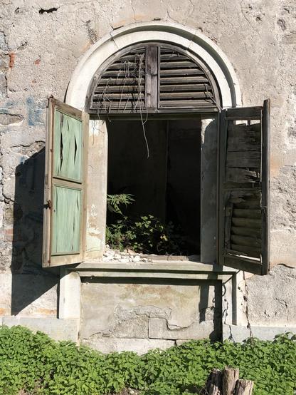 Fassadendetail mit Rundbogen-Fenster mit geöffneten Klappläden aus Holzrahmenkonstruktion mit grüner Holzfüllunh. Aus dem Dunkel des Innenraum wächst eine Pflanze; unterhalb des Fensters wächst das Grün die Fassade hoch.