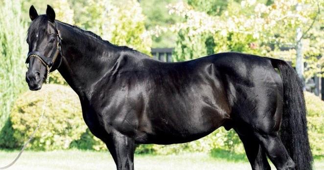 サンデーサイレンスでもディープインパクトでもなく…《日本競馬史上初の父子三代リーディング》種牡馬キズナの成功を示す“73.9%” 父ディープとの違い - 競馬 - Number Web