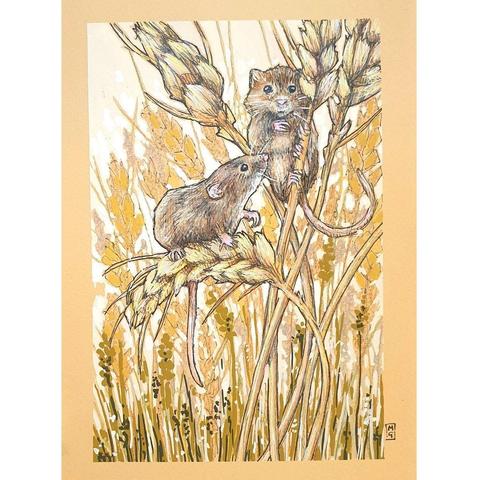 An A5 size drawing of harvest mice in a wheat field. The mice are climbing stalks of wheat. The artwork is in browns, beige and peachy tones. It is on peach toned pastel paper.
Harvest mice are Britain’s smallest rodent, weighing only 4-6 grams. In the British Isles, harvest mice are mainly found south of central Yorkshire, although they do also occur in Scotland and Wales.
An original art work, please note that the frame is not included.
Colour pencil and mixed media on acid free toned artist paper
Size A5 (148 x 210mm / 5.8 x 8.3")