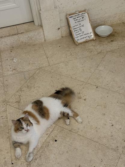 Calico kitty lounging before her food & water bowls, just beyond is a white board:

I AM THE WORLD’s
MOST BEAUTIFUL
PUSSY xx 😻
SO FEED ME!!!
WATER ☑︎
BREAKFAST ☑︎
SNACK ☑︎
LUNCH ☑︎
DINNER ☑︎
TURN DOWN SERVICE ☑︎

AND LET ME HUNT IN PEACE 😻