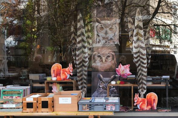Ein Schaufenster eines Secondhand-Plattenladens; im Schaufenster sieht man zwei große rote Eichhörnchen aus Pappe, große Fotos von Eulen und Käuzen, zwei große künstliche Federn mit schwarzen und weißen Streifen, die Reflexion der umliegenden Gebäude, des Fotografen und einer weiteren Person; auf einem Tisch stehen Behälter mit Schallplatten, CDs und DVDs im Angebot, im Inneren  des Schaufensters sind weitere CD-Aussteller zu sehen.