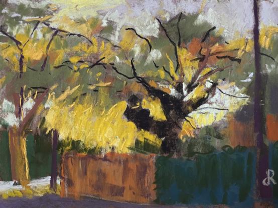 Pastel painting of a silhouetted tree with sunlit foliage and glimpses of the sky