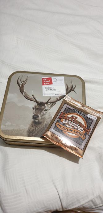 A set of medium/light guitar strings and a metal biscuit tin with a reindeer(?) picture on the front.

Vital parts of a home made guitar gestating in my head.