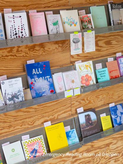 Climate Emergency Reading Room, shelves with books, zines and pamphlets